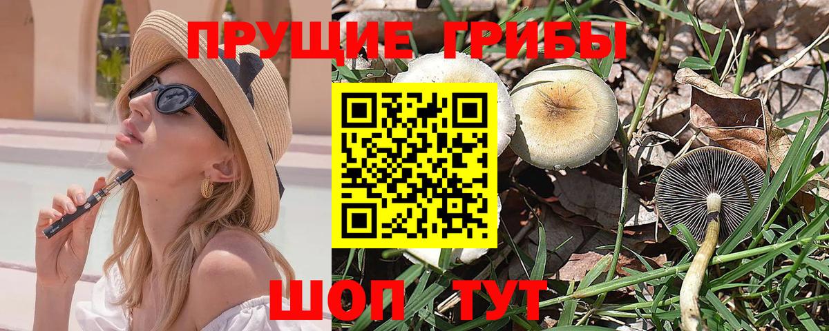 наркота  Вход с VPN  Кимовск  Галлюциногенные грибы MAGIC MUSHROOMS 